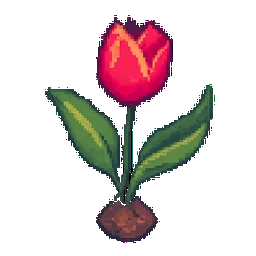Tulip