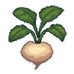 Turnip
