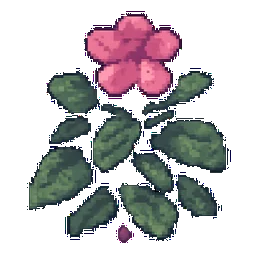 Annual Vinca