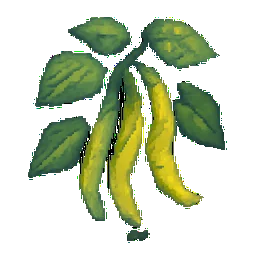 Wax Bean