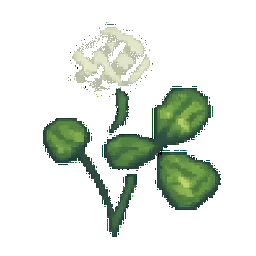 White Clover